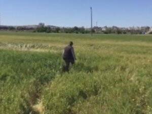 Kilis'e roket mermisi düştü