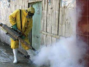 Zika virüsü daha da tehlikeli olabilir