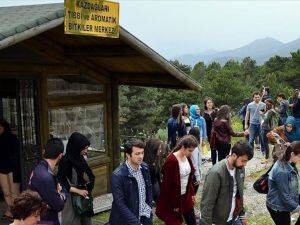 Kazdağları'na 'akademik gezi turları'