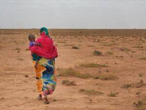 Türkiye'den Afrika ülkelerine 'çölleşmeyle mücadele' eğitimi