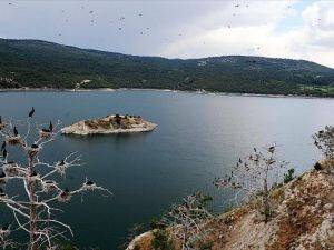 Adıgüzel Barajı kuşlarla cıvıl cıvıl