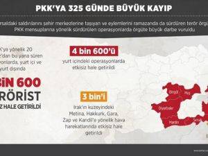 PKK'ya 325 günde büyük darbe