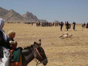 'DAEŞ Ezidi soykırımı yaptı'