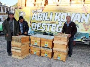 Büyükşehir'den üreticiye arı desteği