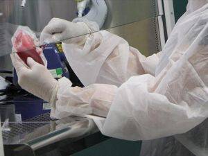 'Kordon kanını başka hastalar için saklayın'