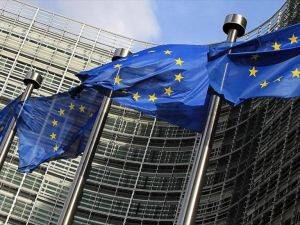 Müslümanların oyu 'Brexit'te belirleyici olacak