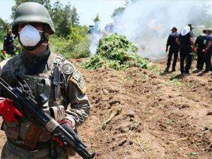 Lice'de PKK'nın finans kaynağına darbe