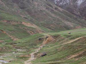 Bitlis'te terör saldırısı: 1 şehit, 2 yaralı
