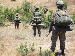 Siirt Pervari'de terör örgütüne operasyon