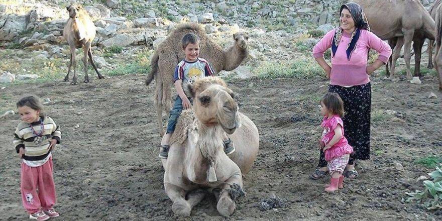 Sarıkeçili Yörükleri Yüzlerce Yıllık Geleneği Yaşatıyor