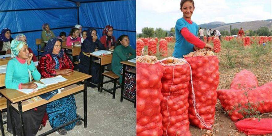 Gündüz Çiftçi Akşam Öğrenci