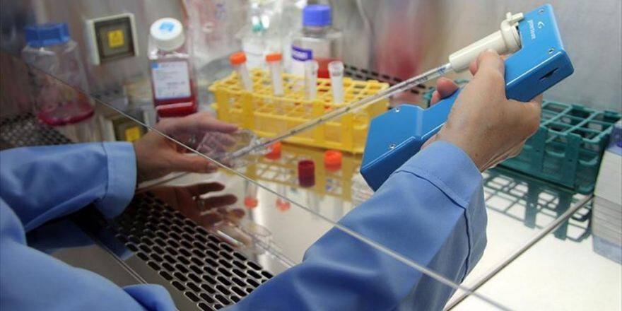 Lenfoma Erken Teşhis İle Tedavi Edilebiliyor