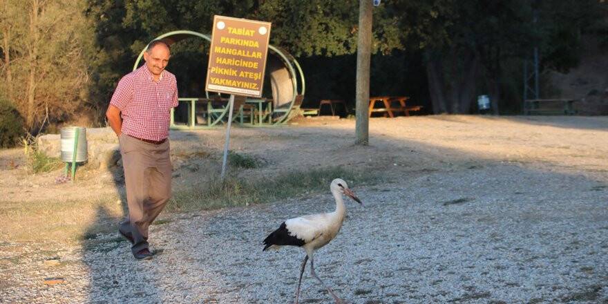 Beyşehir’deki Tabiat Parkı’na ahşap bungalov evler yapılacak