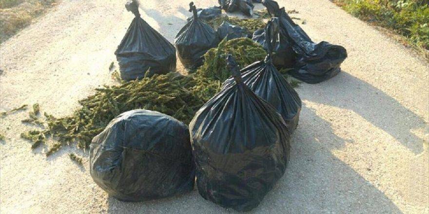 Diyarbakır'da Terör Operasyonu