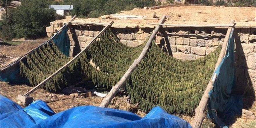 Diyarbakır'da 5 Ton Esrar Ele Geçirildi