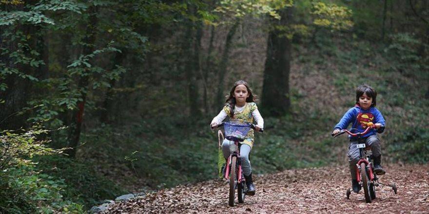 Boşaltılan Askeri Alana "15 Temmuz Şehitler Parkı" Yapılacak