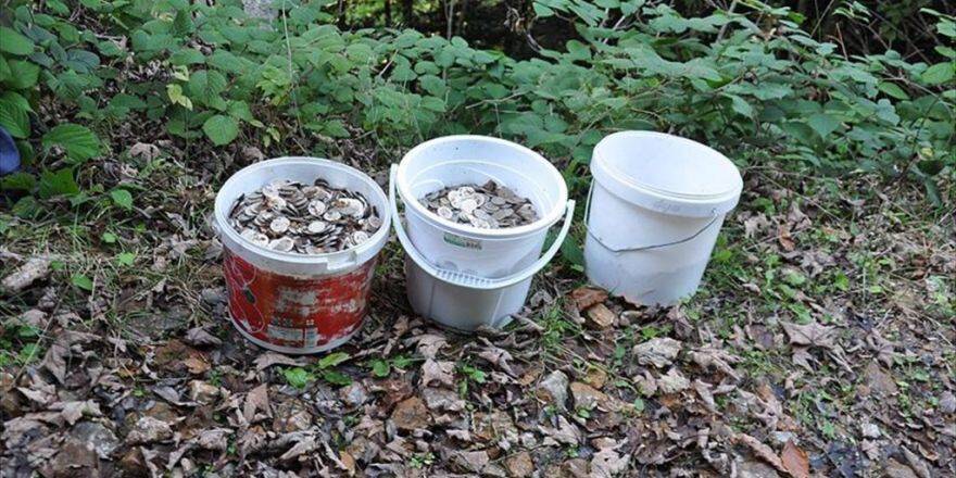 Köylülerin Mantar Ararken Bulduğu 3 Kova Bozuk Para Sahte Çıktı