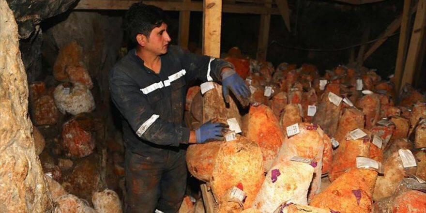Mağarada Bekletilen 'Türk Rokforu' Fransızların Da İlgisini Çekti
