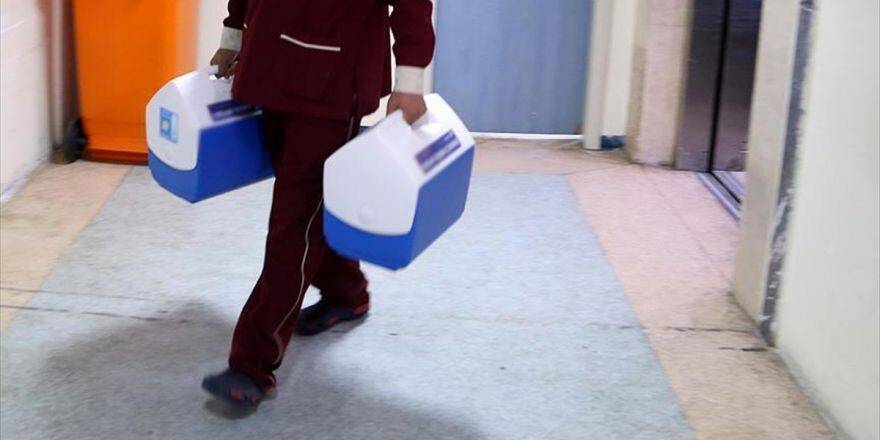 Hepatit C Virüslü Böbrek Nakli Oldular Ama İyileştiler