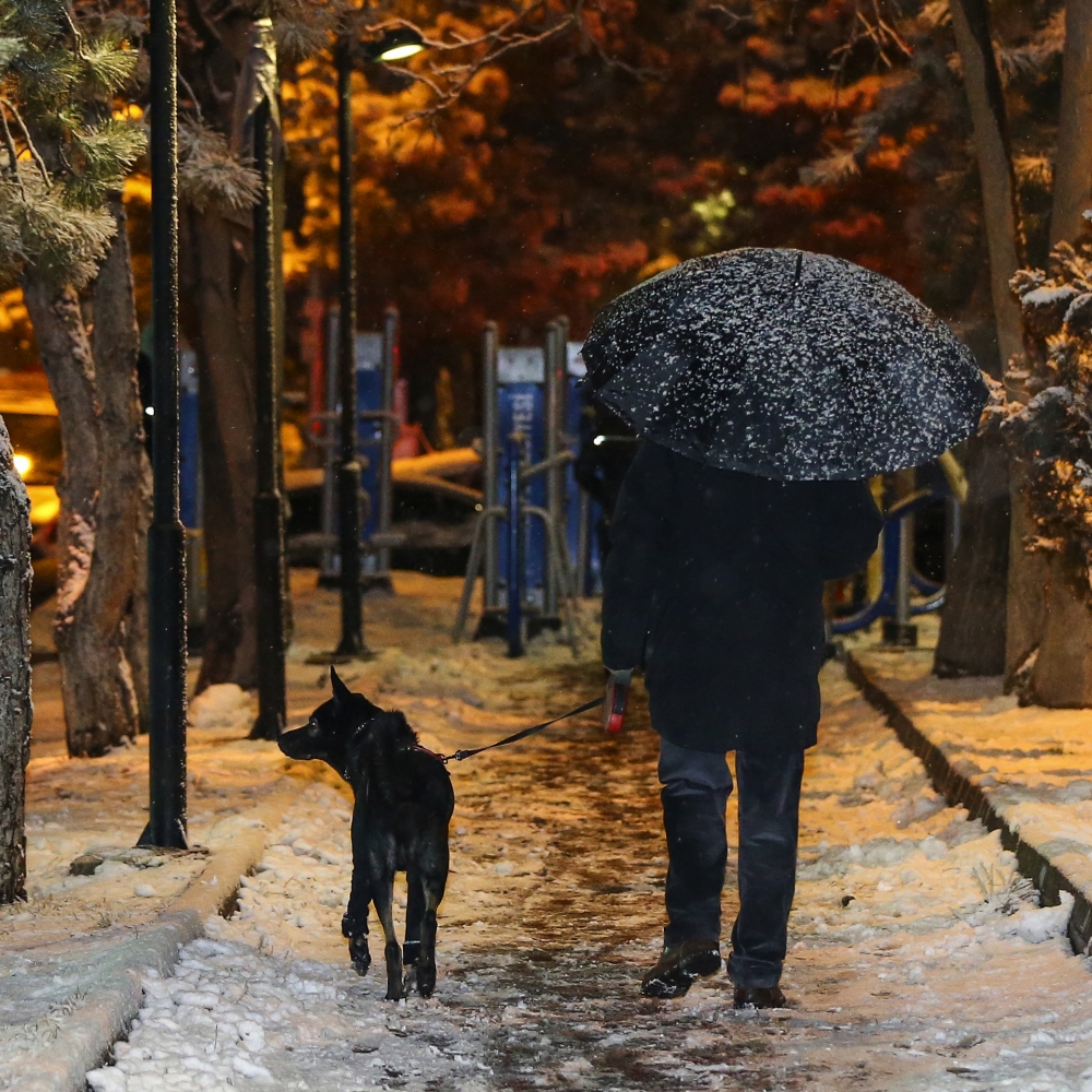 Türkiye'de Kış Manzaraları 30 Aralık 2016 5
