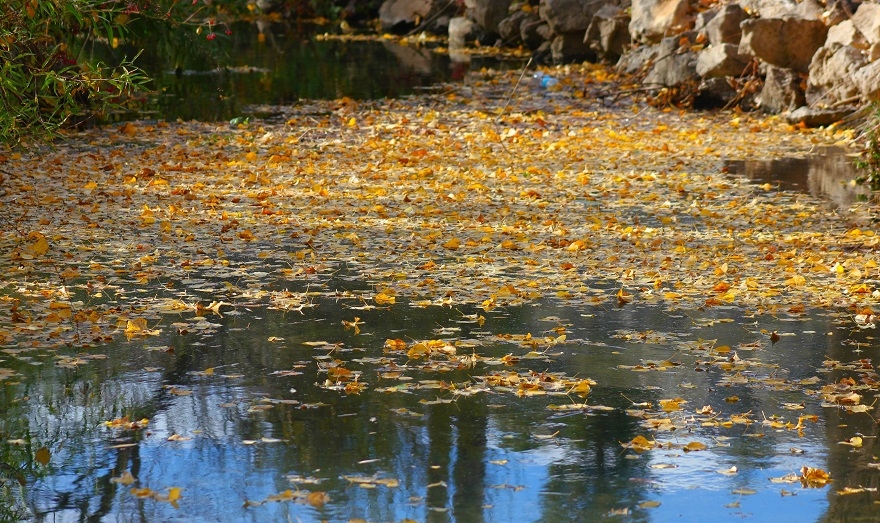 Beyşehir Gölü Milli Parkı’nda sonbahar görüntüleri 7