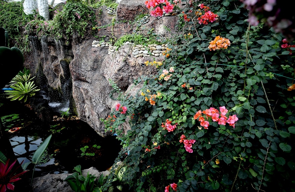 "Aşkın Kanatları" Tropikal Kelebek Bahçesi 25