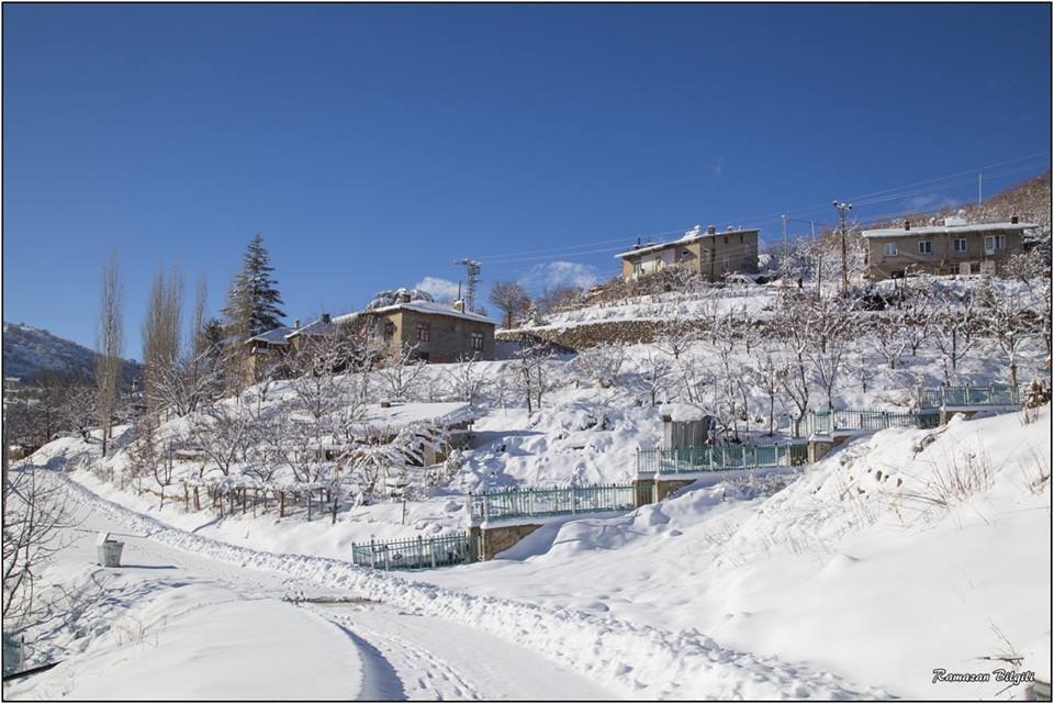 Hadim'den muhteşem kar manzaraları 2