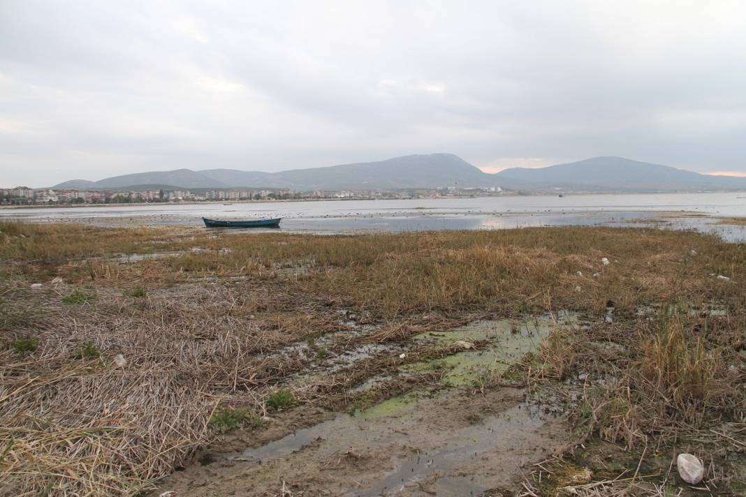 Beyşehir Gölü'nde sular çekildi, kıyılarda sazlıklar oluştu 10