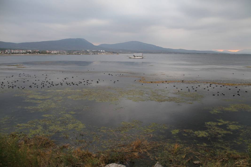 Beyşehir Gölü'nde sular çekildi, kıyılarda sazlıklar oluştu 12