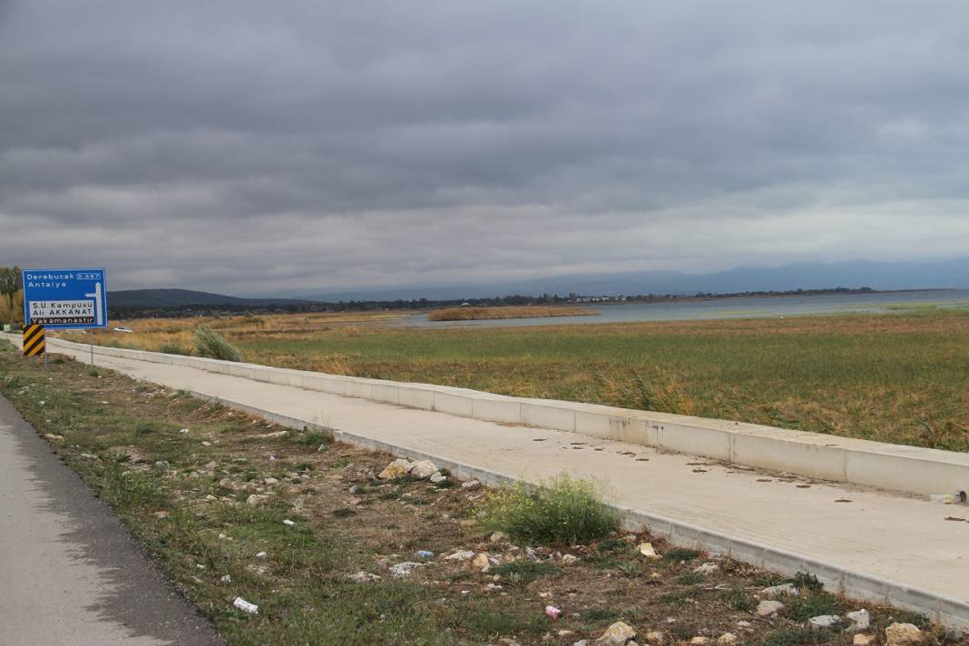 Beyşehir Gölü'nde sular çekildi, kıyılarda sazlıklar oluştu 3