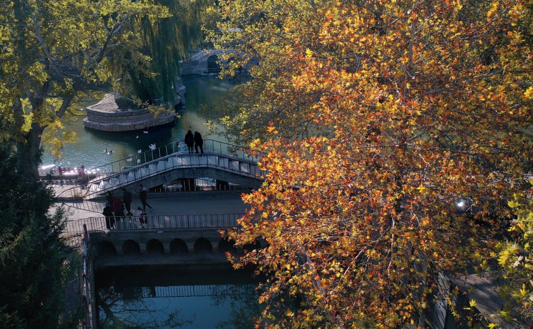 Konya'da ki Kuğulu ve Japon Parkı sonbahar renklerine büründü 4
