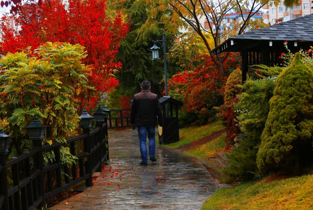 Konya'da ki Kuğulu ve Japon Parkı sonbahar renklerine büründü 8