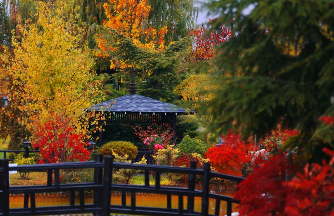 Konya'da ki Kuğulu ve Japon Parkı sonbahar renklerine büründü 9