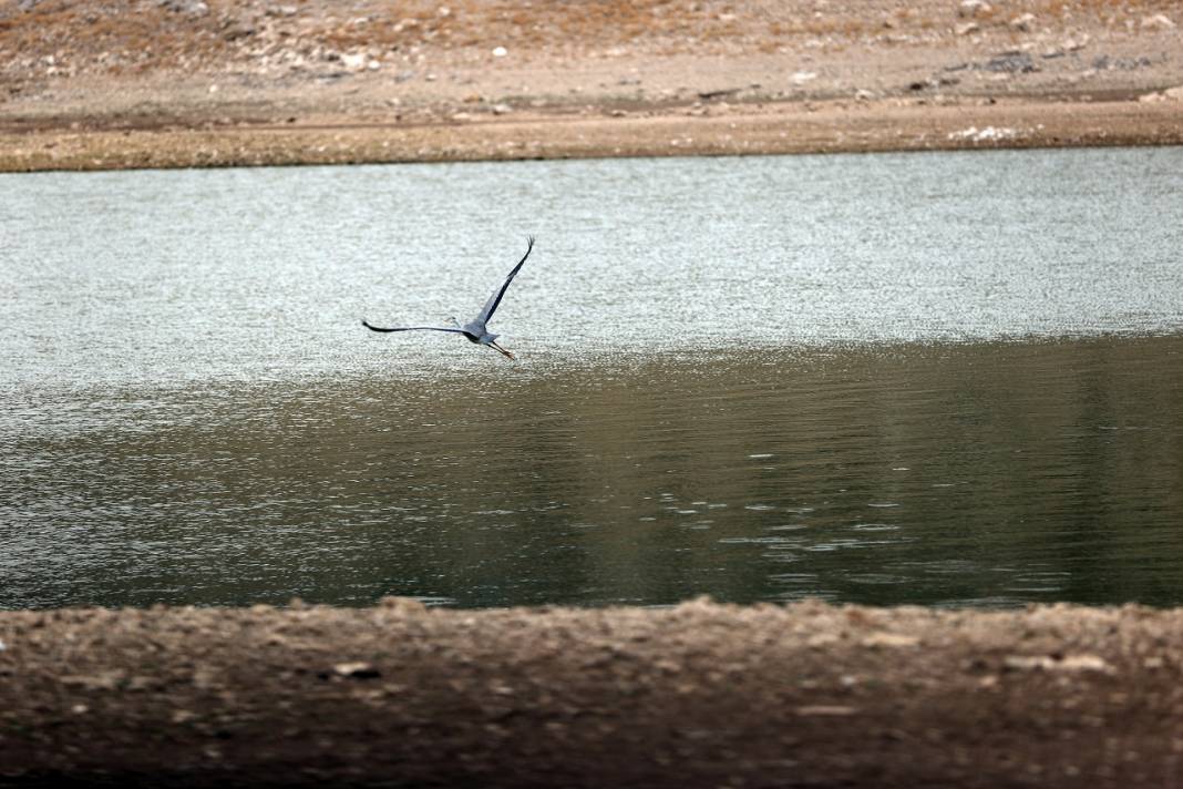 Suları çekilen May Barajı, kuraklığın boyutunu gözler önüne seriyor 5
