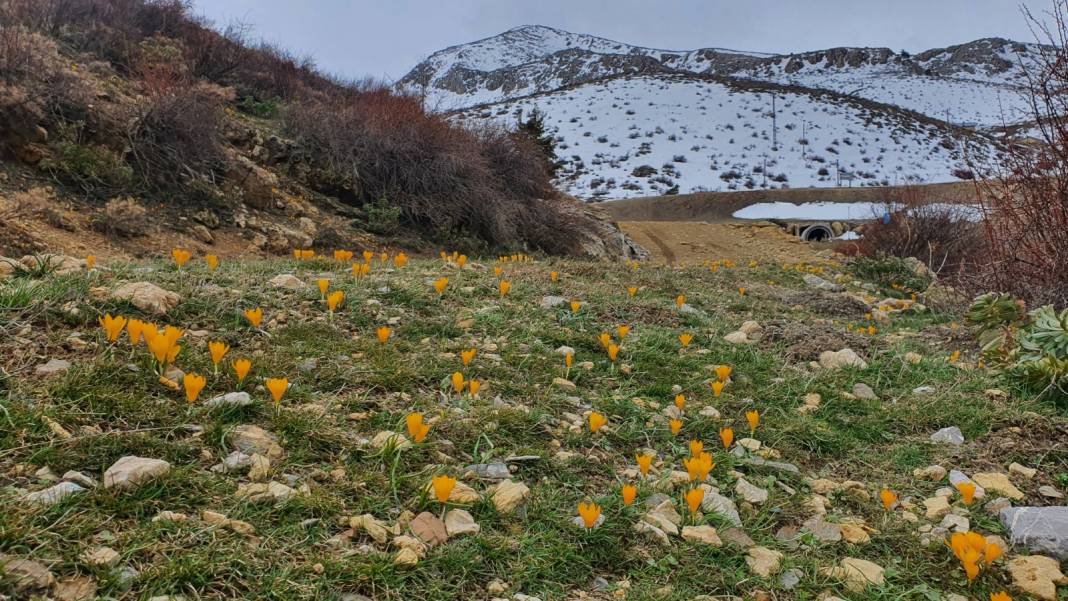 Aygır Dibi Şelalesi - Çağlayan Göleti-Bozkır Barajı-Bozkır Yaylaları (Fotoğraflar: Hasan ÖZDEMİR) 18