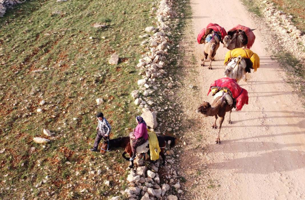 Sarıkeçili Yörükleri 1000 yıllık tarihi yolculuğunu develerle sürdürüyor 12