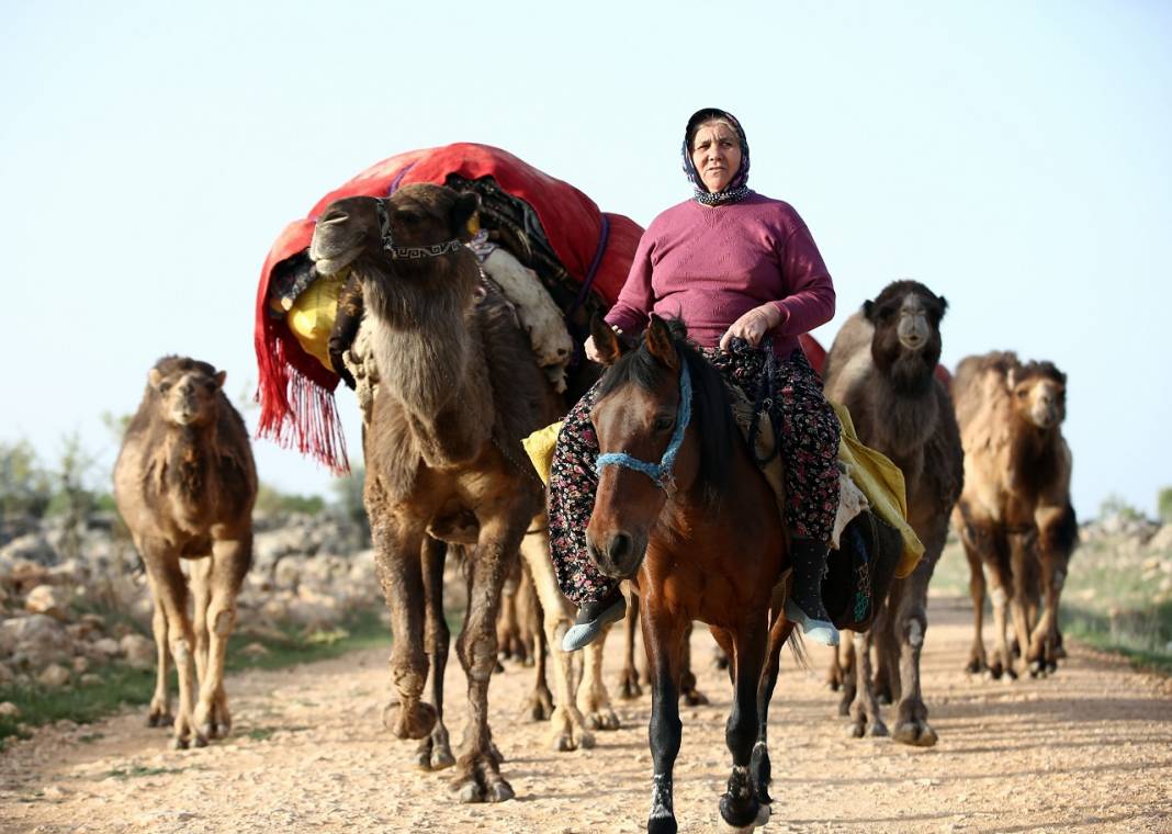 Sarıkeçili Yörükleri 1000 yıllık tarihi yolculuğunu develerle sürdürüyor 24