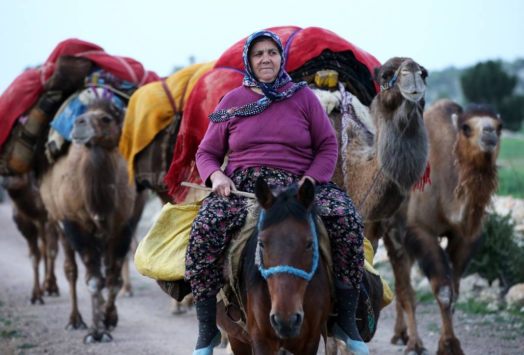 Sarıkeçili Yörükleri 1000 yıllık tarihi yolculuğunu develerle sürdürüyor 26