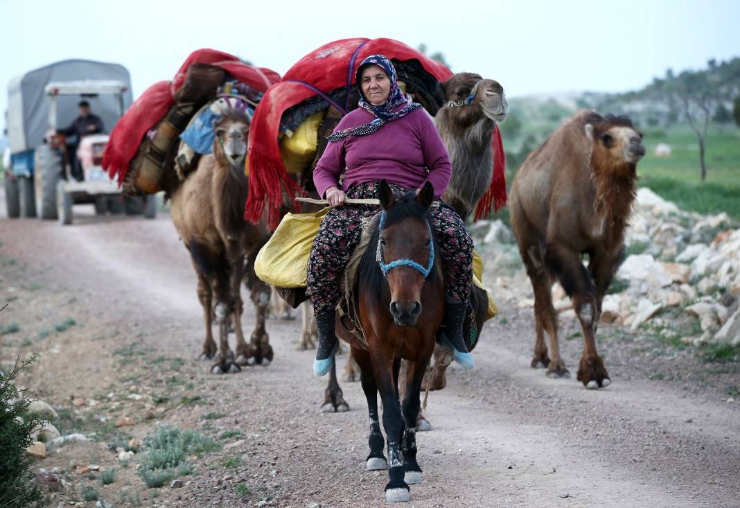 Sarıkeçili Yörükleri 1000 yıllık tarihi yolculuğunu develerle sürdürüyor 27