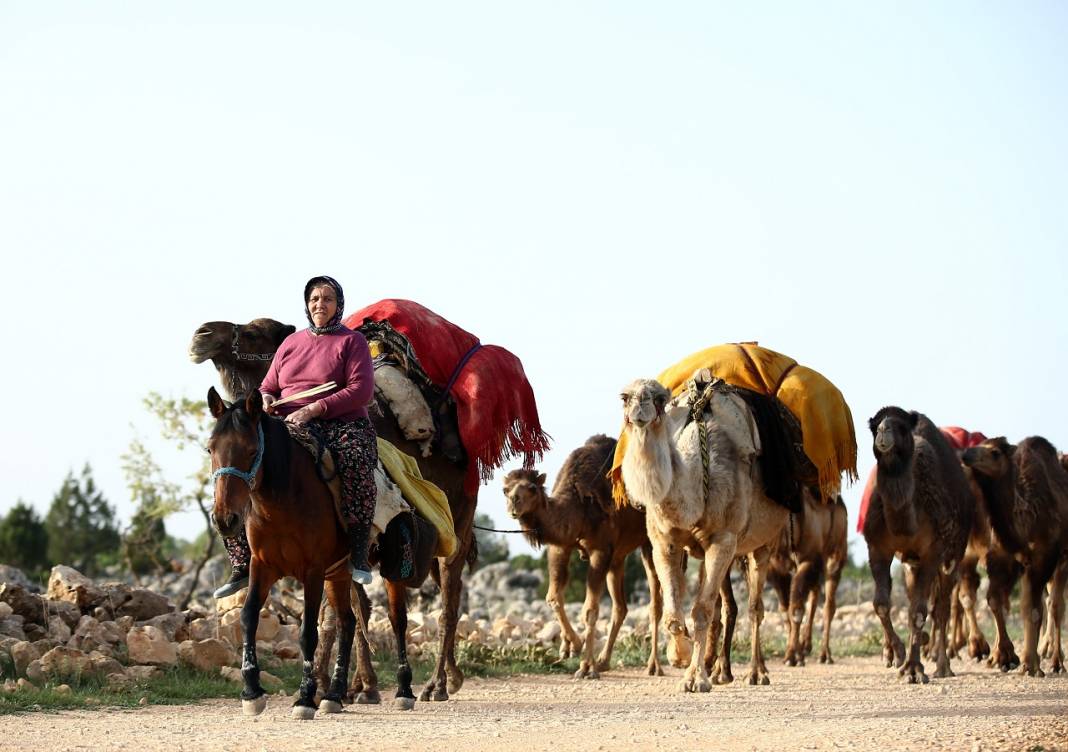 Sarıkeçili Yörükleri 1000 yıllık tarihi yolculuğunu develerle sürdürüyor 4