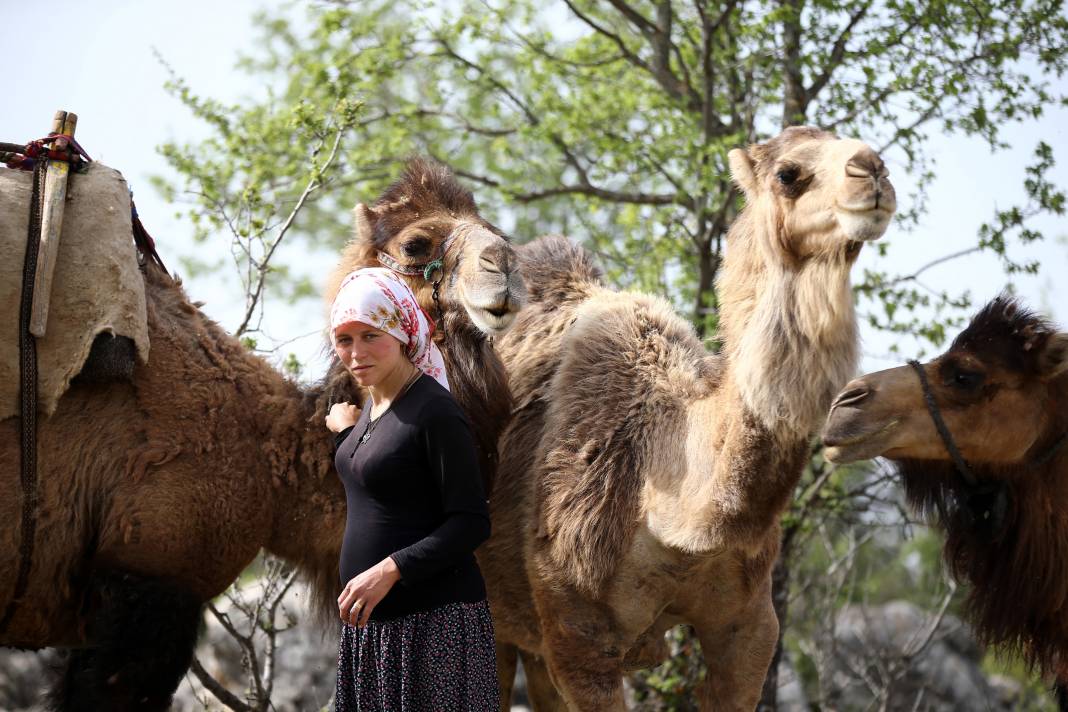 Sarıkeçili Yörükleri 1000 yıllık tarihi yolculuğunu develerle sürdürüyor 7
