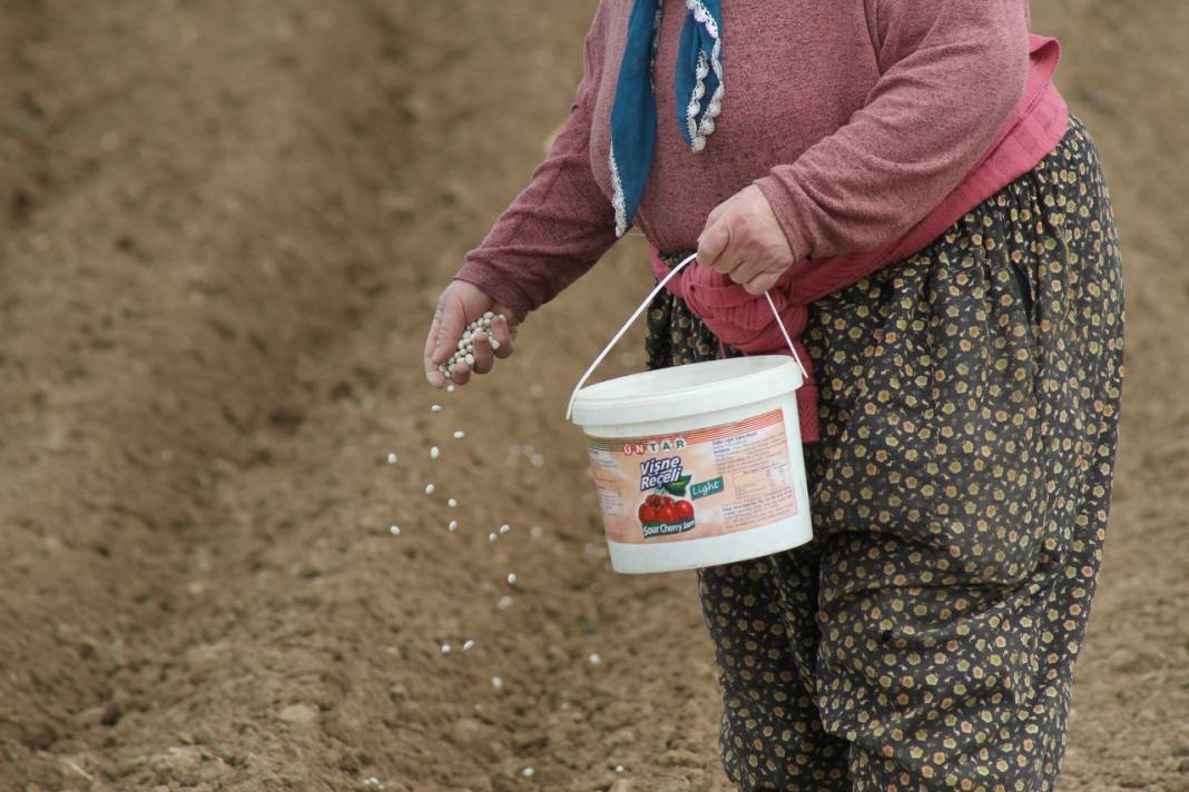 Konya'da çiftçilerin şeker fasulyesi ekim mesaisi başladı 1