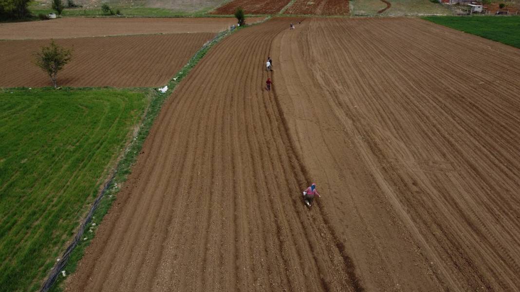 Konya'da çiftçilerin şeker fasulyesi ekim mesaisi başladı 7