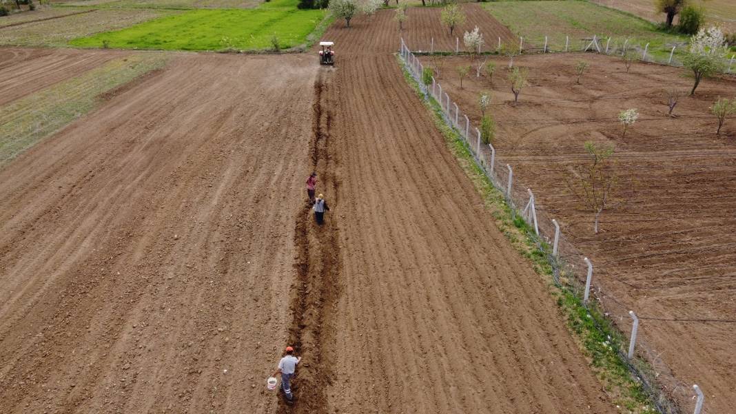Konya'da çiftçilerin şeker fasulyesi ekim mesaisi başladı 8