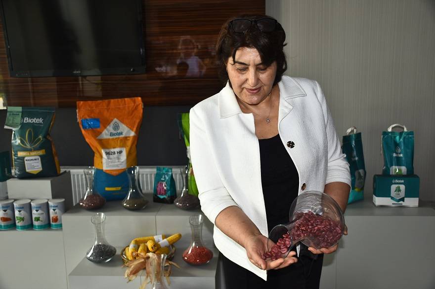 Konya'da bir firmanın ıslah ederek ürettirdiği tohumlar 20 ülkeye satılıyor 11