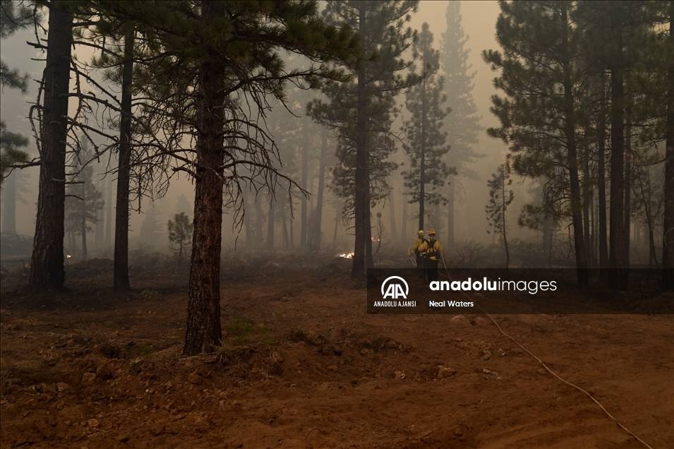 ABD'nin Kaliforniya eyaletindeki orman yangınları 10