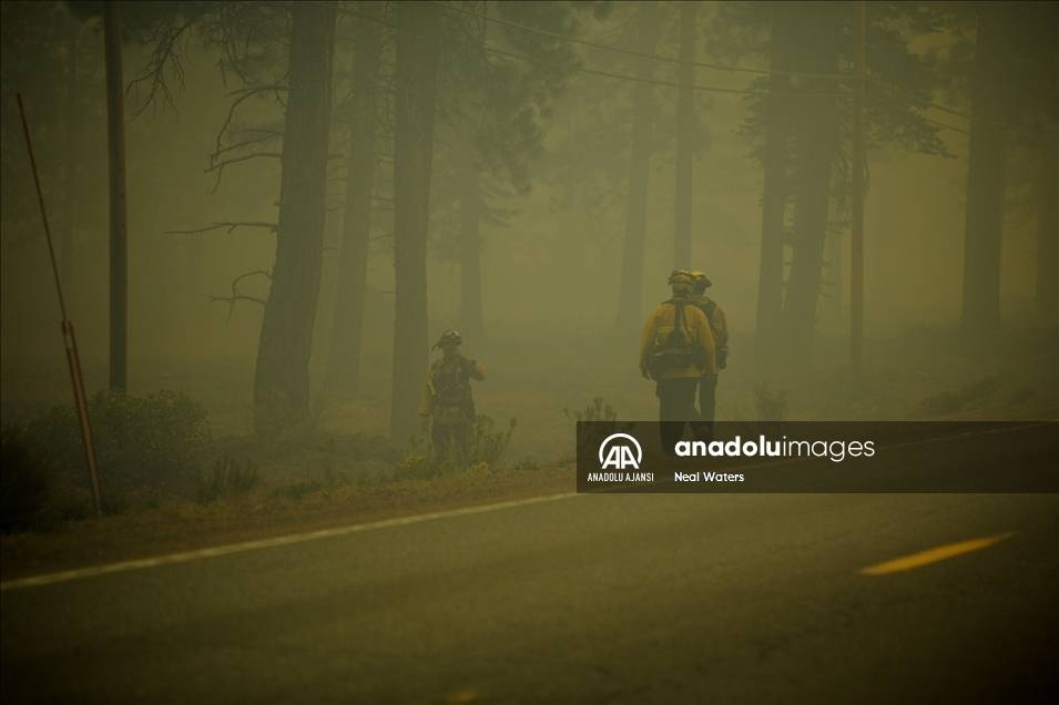 ABD'nin Kaliforniya eyaletindeki orman yangınları 6