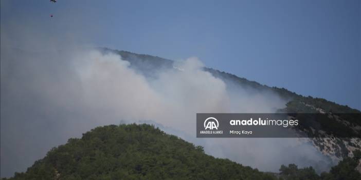 Kazdağları'nda çıkan orman yangınına havadan ve karadan müdahale ediliyor