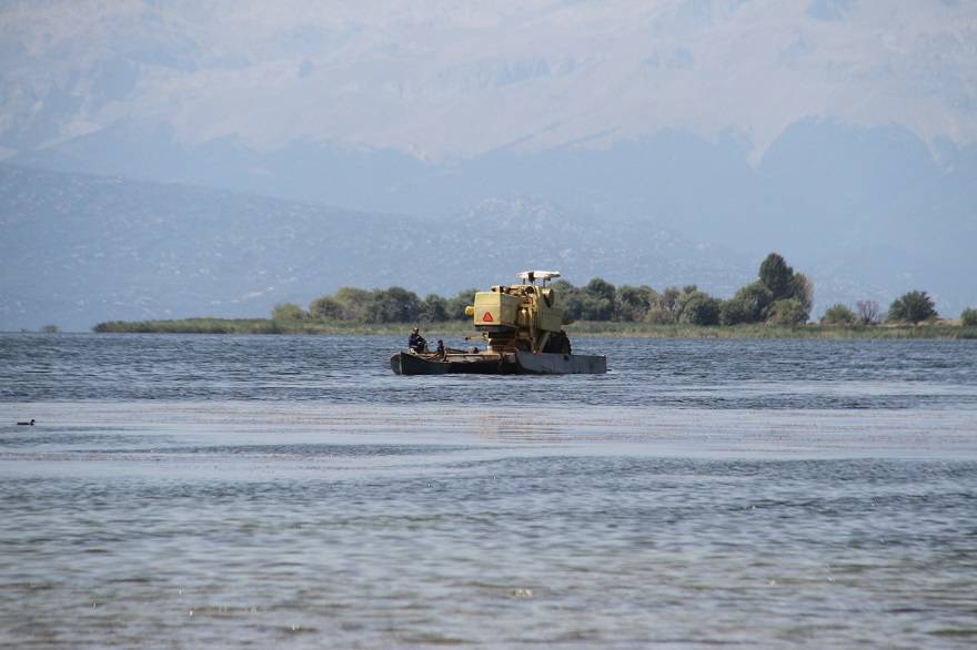 Konya'da biçerdöver göl sularında yüzdürülerek karşı kıyıya taşındı 9