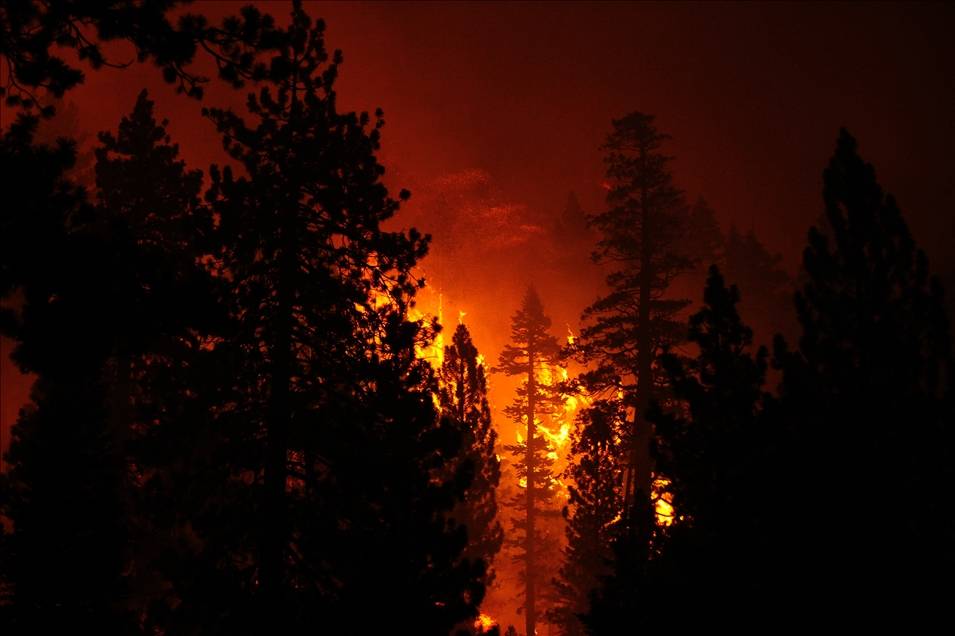California'daki "Caldor" yangını 756 kilometrekare alanı tahrip etti 1